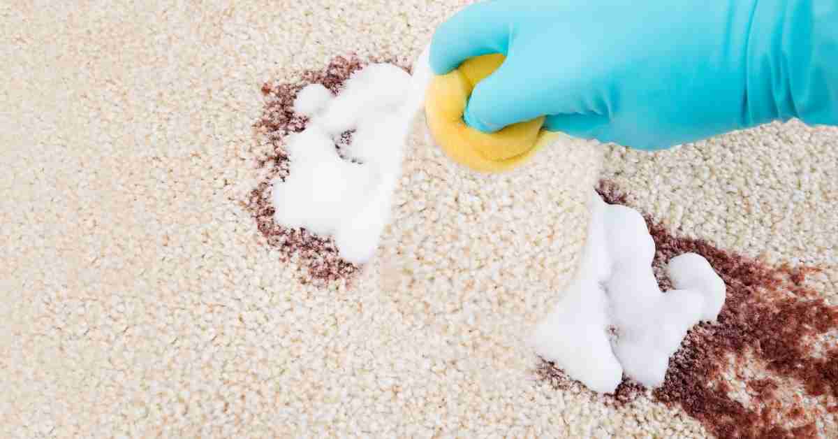tips for cleaning carpet